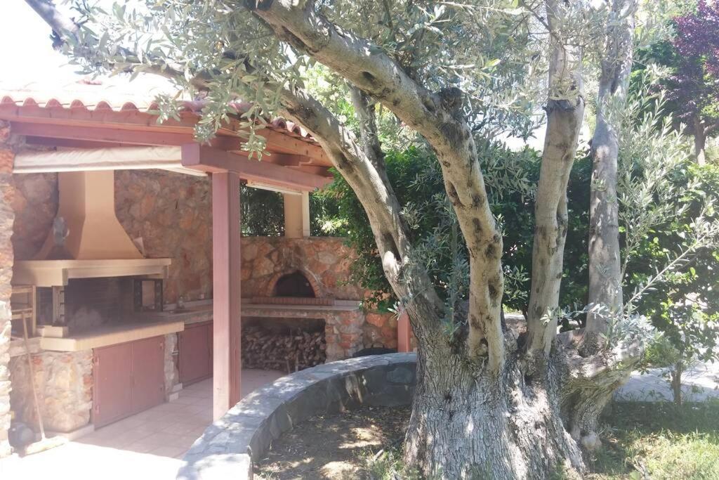 Seaside Villa Andronikos Amarynthos Exterior photo