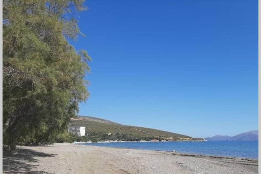 Seaside Villa Andronikos Amarynthos Exterior photo