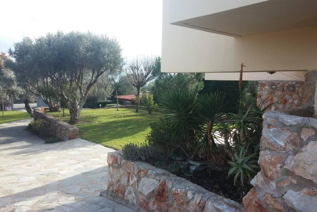 Seaside Villa Andronikos Amarynthos Exterior photo