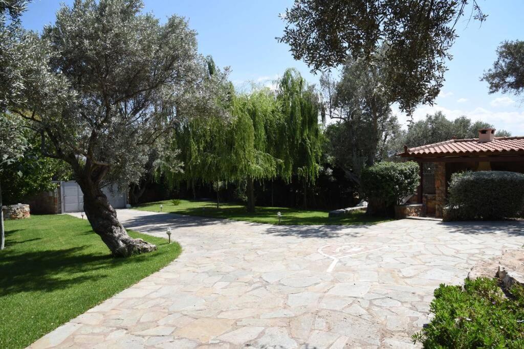 Seaside Villa Andronikos Amarynthos Exterior photo