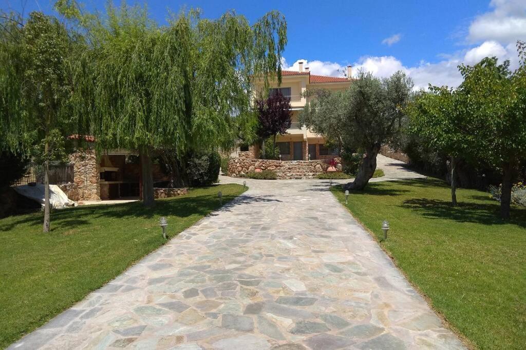 Seaside Villa Andronikos Amarynthos Exterior photo