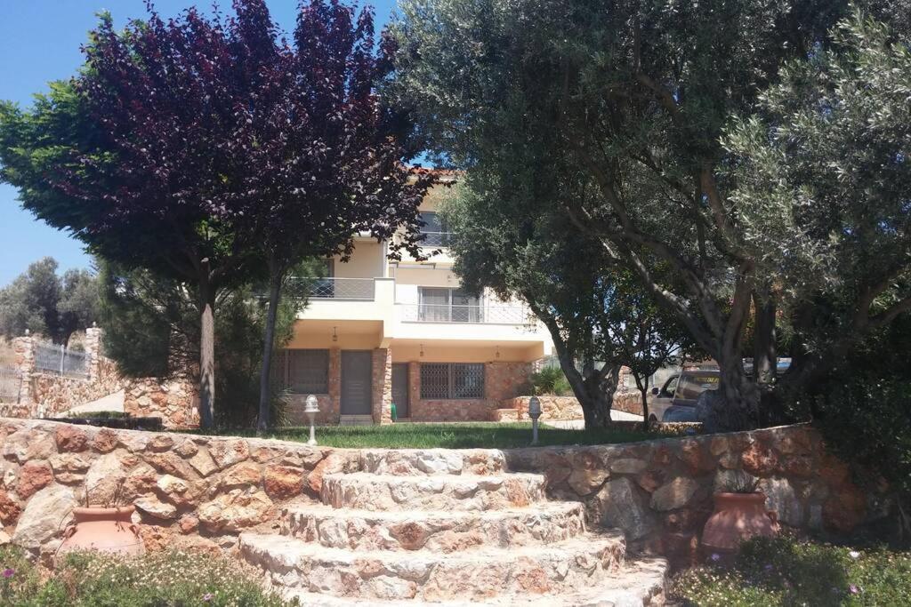 Seaside Villa Andronikos Amarynthos Exterior photo
