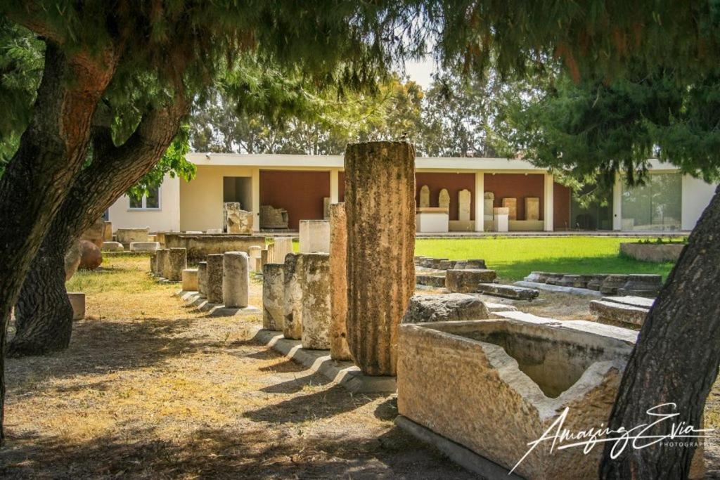 Seaside Villa Andronikos Amarynthos Exterior photo