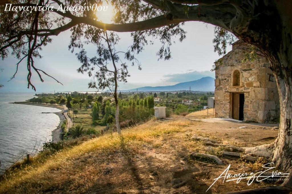 Seaside Villa Andronikos Amarynthos Exterior photo
